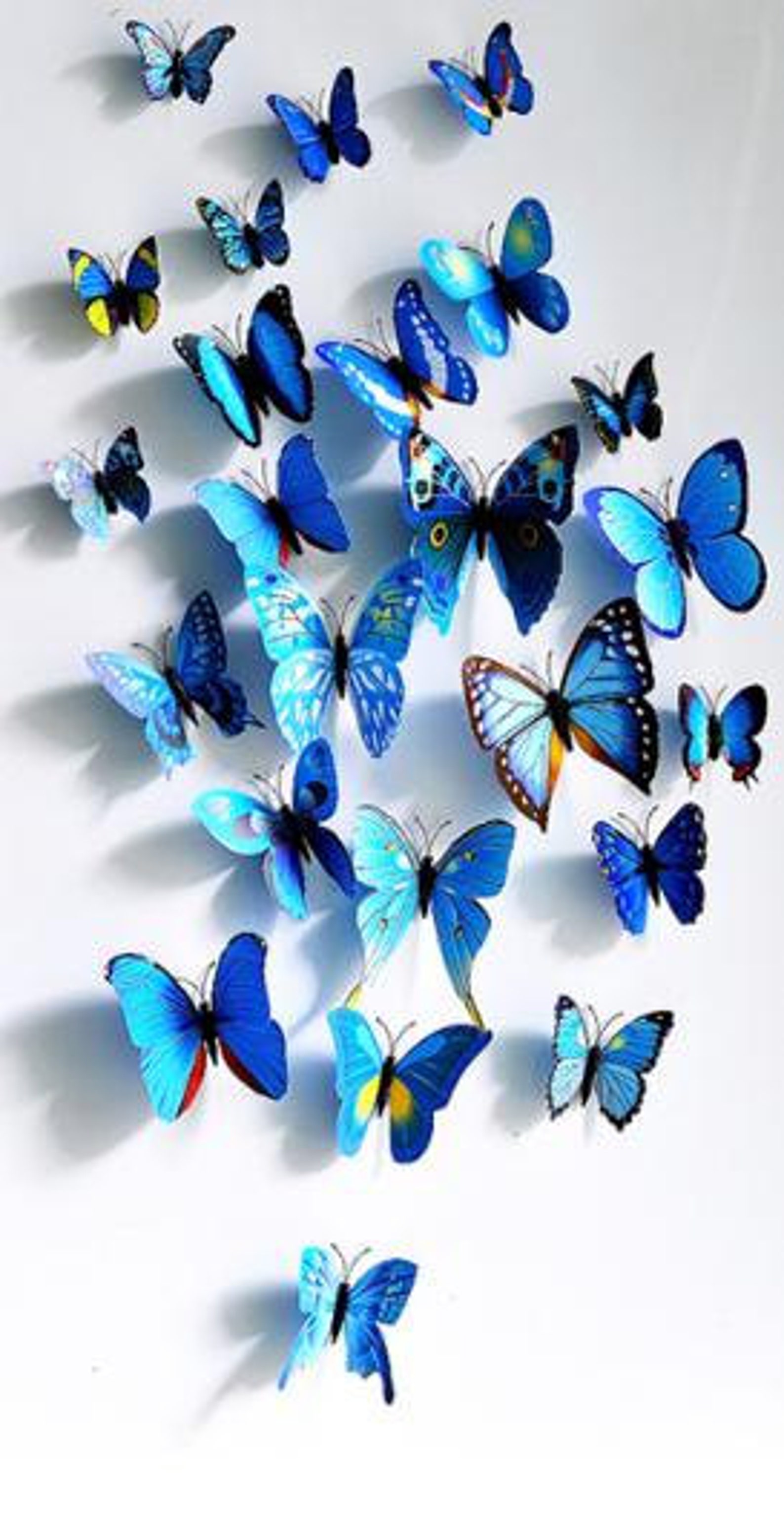 Бабочки в рамках для интерьера