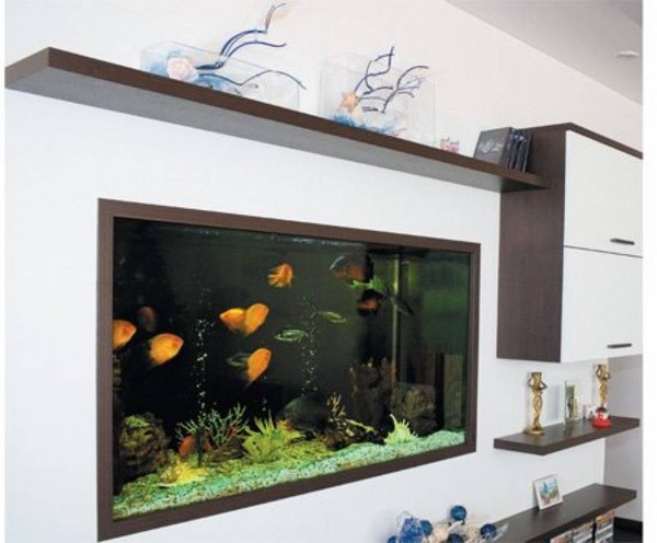 Настенный аквариум фото