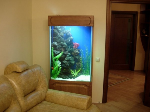 Настенный аквариум фото